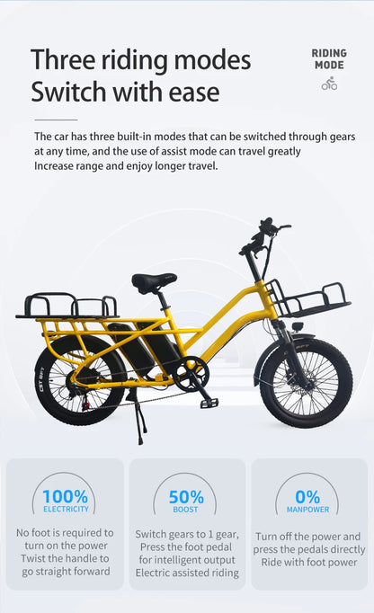 OEM,24inch Aluminum Alloy Electric Bicycle Delivery Ebike Электровелосипед 350W Dual  Lithium Battery Electric Bike,Manufacturer