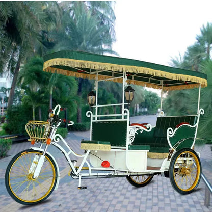 Electric Rickshaw