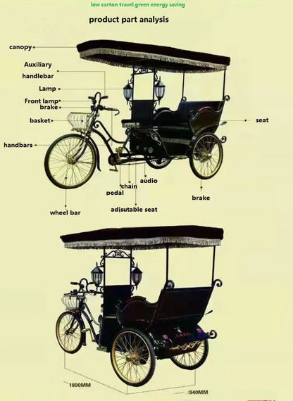 Electric Rickshaw