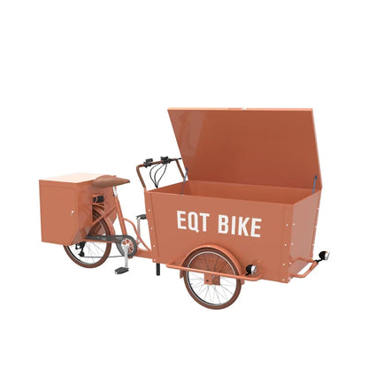 Mini 3 Wheel Cargo Delivery Bike Family Cargo Bike Price EQT New Cheap Electric Cargo Bike 250W