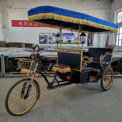 Electric Rickshaw