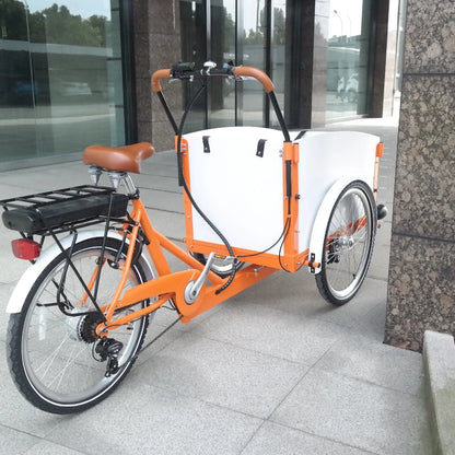 Electric 250W/500w Adult Tricycle with Open Cargo Box 36V/48v Cargo Bike