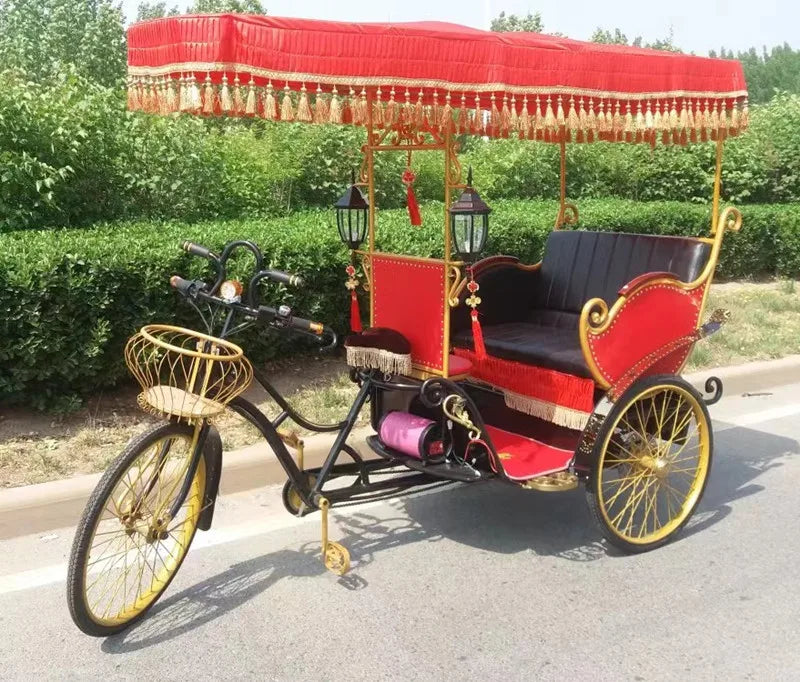 Electric Rickshaw