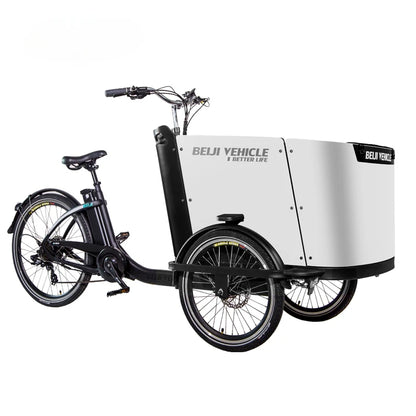 Hot Sale Three Roures Electric Velo Triporteur Electrique Cargo Bike