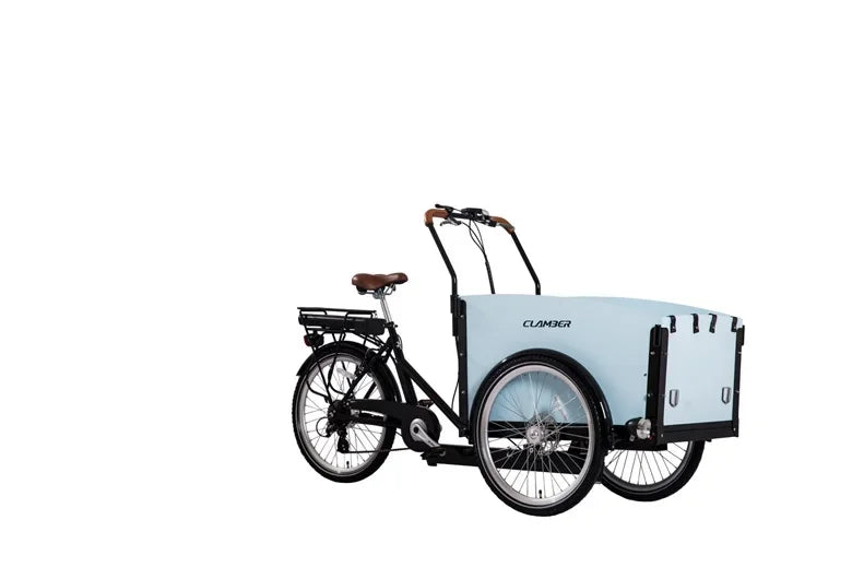 Electric 250W/500w Adult Tricycle with Open Cargo Box 36V/48v Cargo Bike