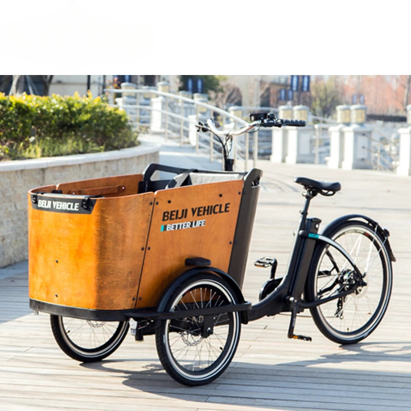 Hot Sale Three Roures Electric Velo Triporteur Electrique Cargo Bike