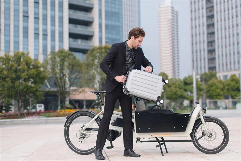 NEW 2 Wheel Electric Cargo Bicycle Long John Transport Bike for Last Mile Delivery CHEETAH