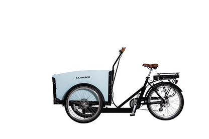 Electric 250W/500w Adult Tricycle with Open Cargo Box 36V/48v Cargo Bike