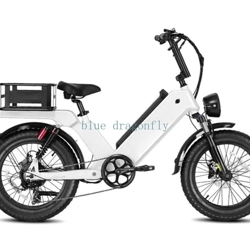 Cheap electric Bicycle 1000W 48V ELECTR BIKE 20 inch Folding ebike off road electric bike