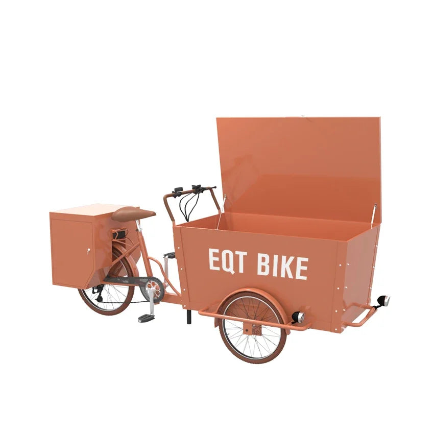 Mini 3 Wheel Cargo Delivery Bike Family Cargo Bike Price EQT New Cheap Electric Cargo Bike 250W