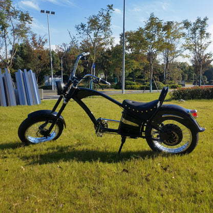 Suncycle Vintage City Coco Electric Bike 1000w Wheels Electric Cargo Bike