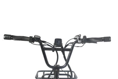 New popular model 20 inch food delivery electric bike 48V750W rear motor 48V15Ah  imported battery