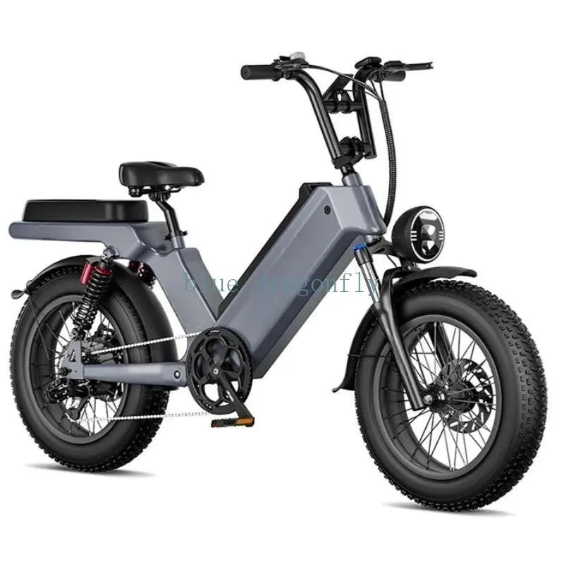 Cheap electric Bicycle 1000W 48V ELECTR BIKE 20 inch Folding ebike off road electric bike