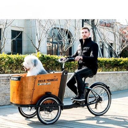 Hot Sale Three Roures Electric Velo Triporteur Electrique Cargo Bike