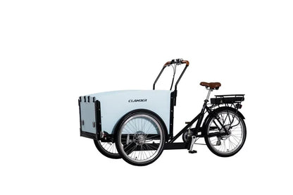 Electric 250W/500w Adult Tricycle with Open Cargo Box 36V/48v Cargo Bike