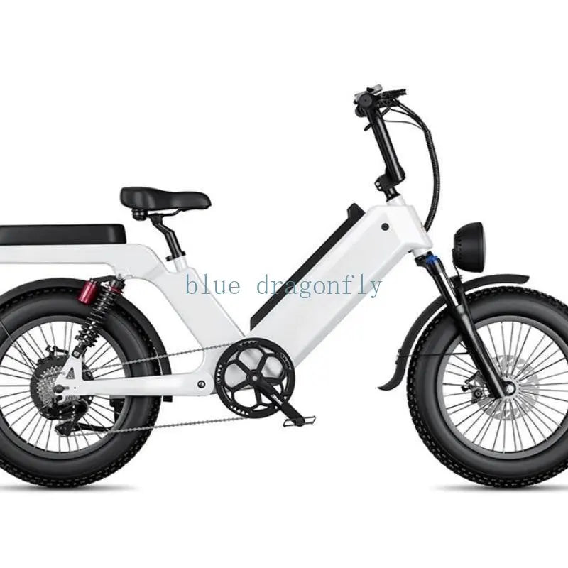 Cheap electric Bicycle 1000W 48V ELECTR BIKE 20 inch Folding ebike off road electric bike