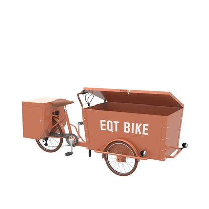 Mini 3 Wheel Cargo Delivery Bike Family Cargo Bike Price EQT New Cheap Electric Cargo Bike 250W