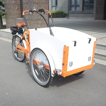 Electric 250W/500w Adult Tricycle with Open Cargo Box 36V/48v Cargo Bike