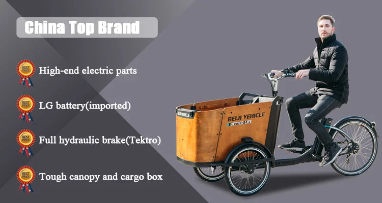 Hot Sale Three Roures Electric Velo Triporteur Electrique Cargo Bike