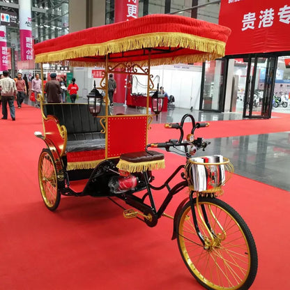 Electric Rickshaw