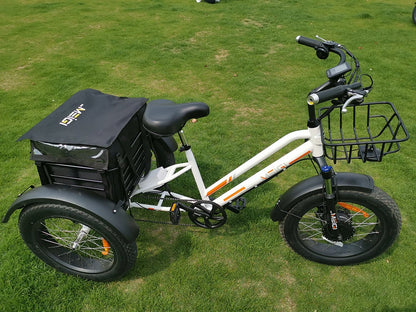 500w Electric Fat Tire Trike 20" Inch Cargo Delivery Triciclo Electrico 3 Wheel Electric Bike for Disabled