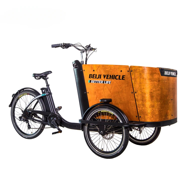 Hot Sale Three Roures Electric Velo Triporteur Electrique Cargo Bike