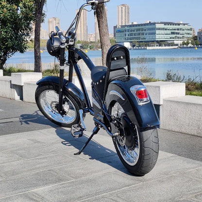 Suncycle Vintage City Coco Electric Bike 1000w Wheels Electric Cargo Bike