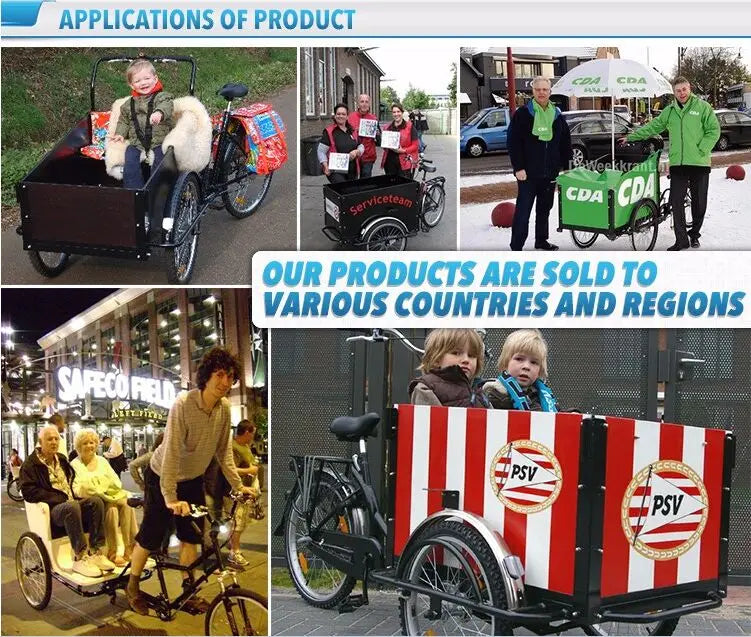 Electric 250W/500w Adult Tricycle with Open Cargo Box 36V/48v Cargo Bike