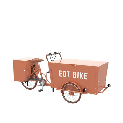 Mini 3 Wheel Cargo Delivery Bike Family Cargo Bike Price EQT New Cheap Electric Cargo Bike 250W