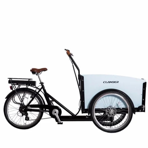 Electric 250W/500w Adult Tricycle with Open Cargo Box 36V/48v Cargo Bike