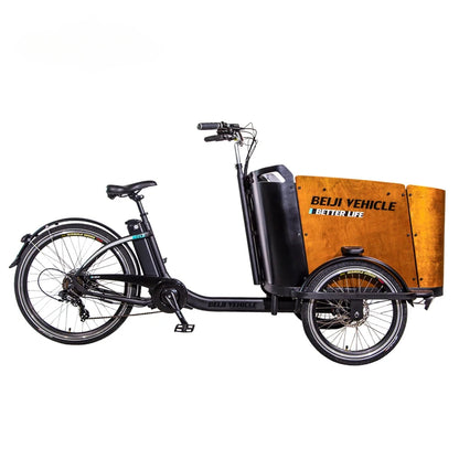 Hot Sale Three Roures Electric Velo Triporteur Electrique Cargo Bike