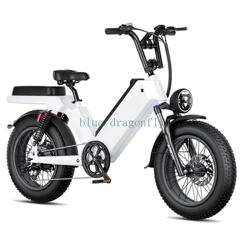 Cheap electric Bicycle 1000W 48V ELECTR BIKE 20 inch Folding ebike off road electric bike