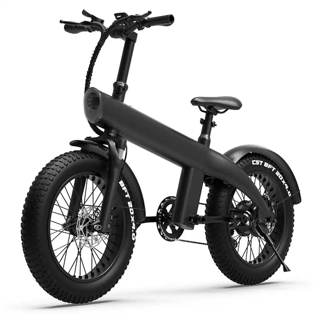 HX Q3 Adult Ebike Electric Bike Folding 750w 48V 13AH 20 inch Fat Tire Electric Bicycle Mountain Cycling Bike