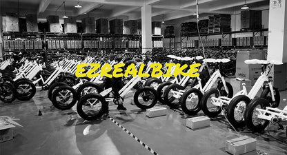 500w Electric Fat Tire Trike 20" Inch Cargo Delivery Triciclo Electrico 3 Wheel Electric Bike for Disabled